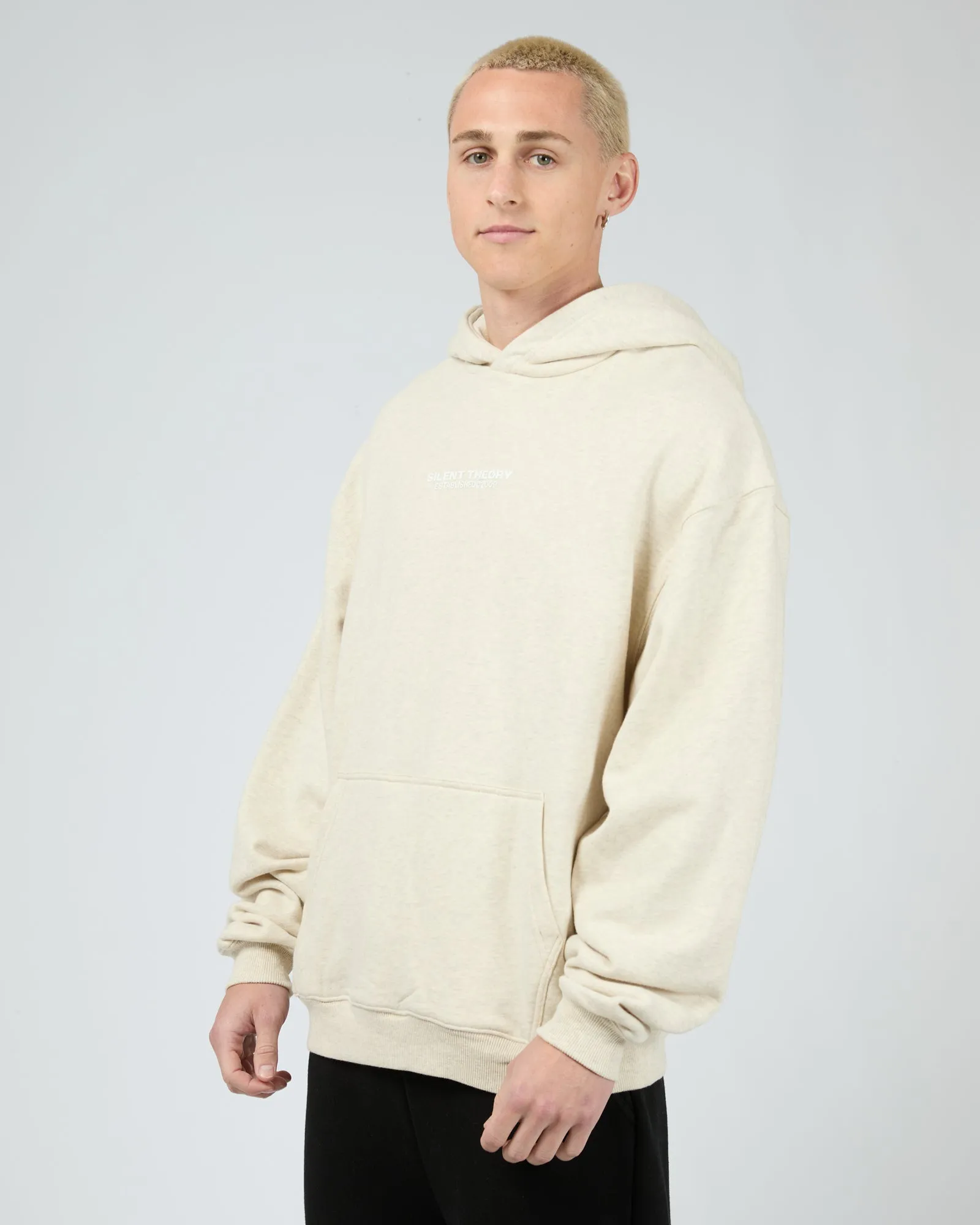 Essential Theory Hoodie Oat